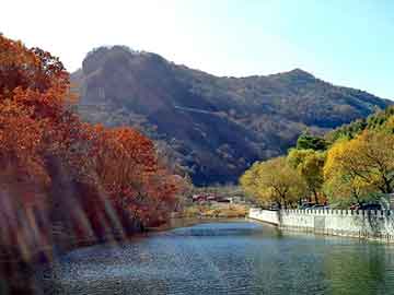 新澳天天开奖资料大全旅游团，华速物流